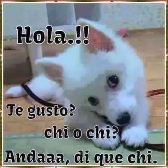 ochoaperez
