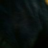 lupeet