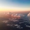 emilybryerr