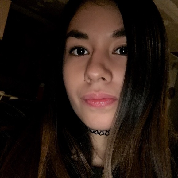 palomadf20