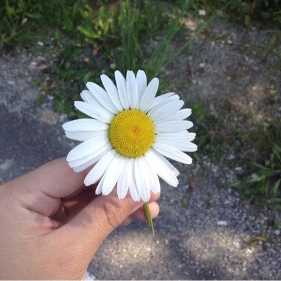 lisalast69