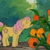 fluttershyfawn