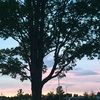 libby_hope