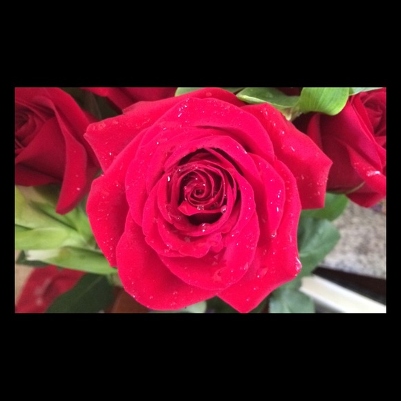 missmegg711