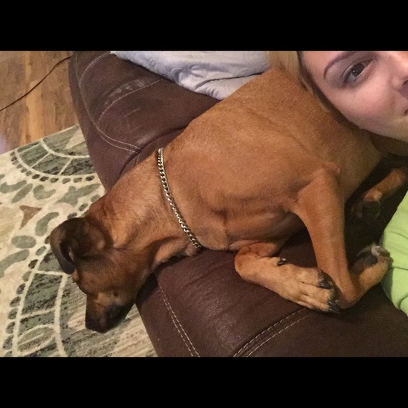 kayseewoodard