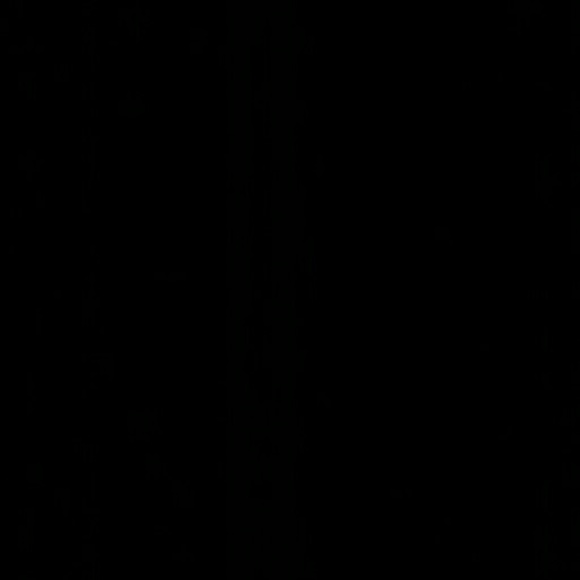 vg_510
