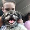 pugs1011