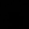 pasionicon