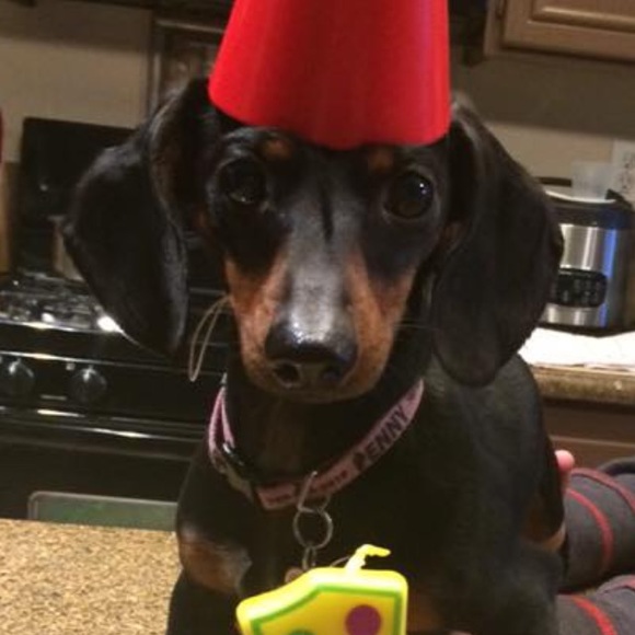 doxie4me