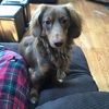 duffd