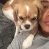 stefy_boo1
