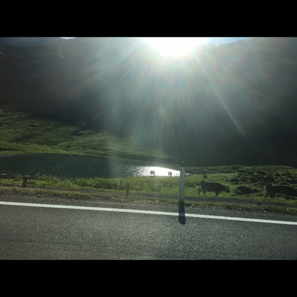 simona_m_14