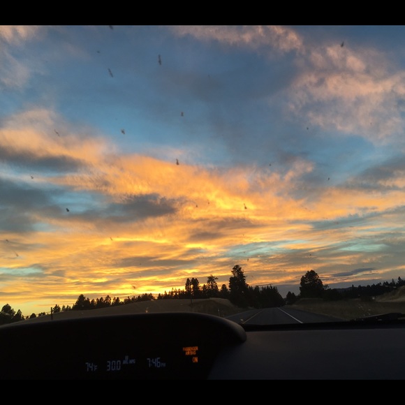 lilybaxter18