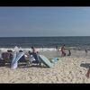 sandy_bas