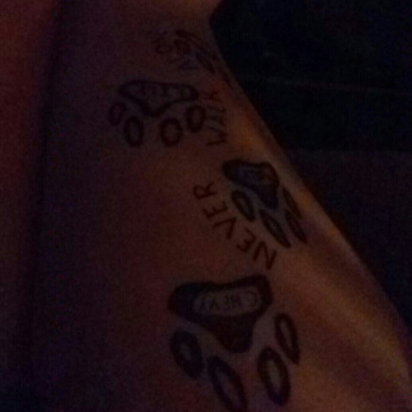 roche2013