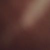tina2222