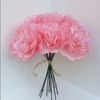clavel0126