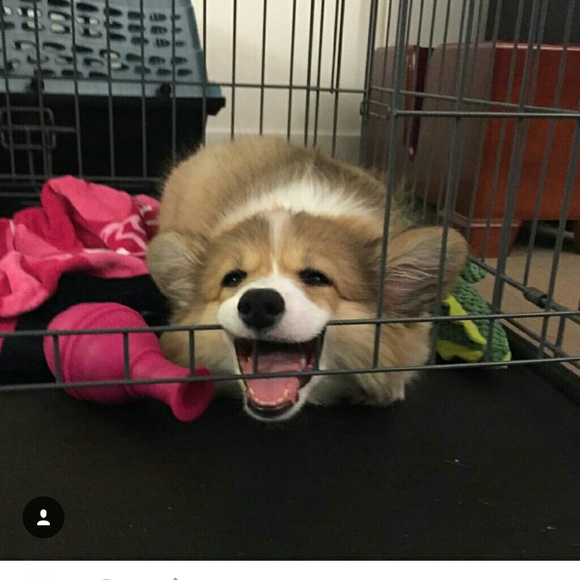 tonitonit0ni