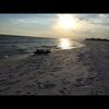 beachbum2485
