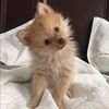 rebekah_hailey
