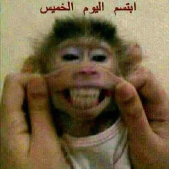 darin_farrouh