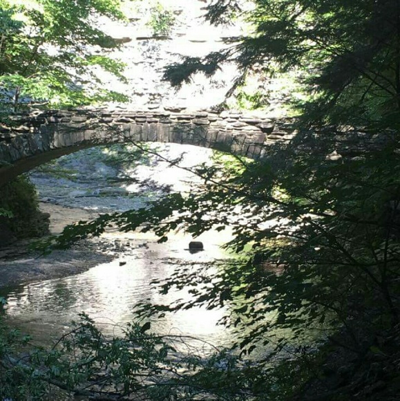 pnewcomb04