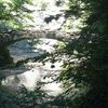 pnewcomb04