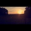 ladybug_17