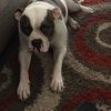 lucylou00