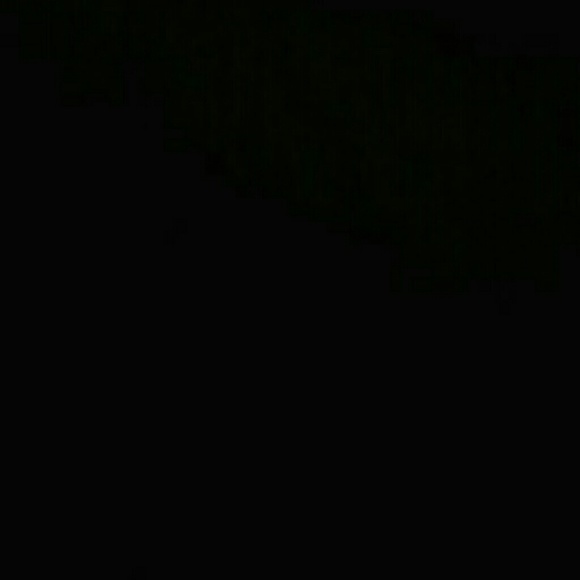 suziesuzie21