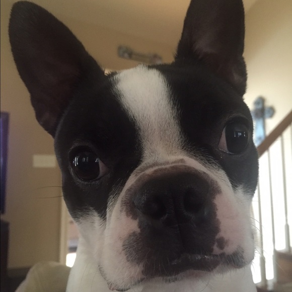 billiebarnes