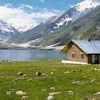 tahaansari4444