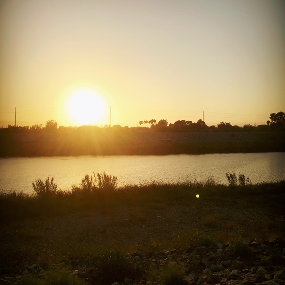 nattom032815