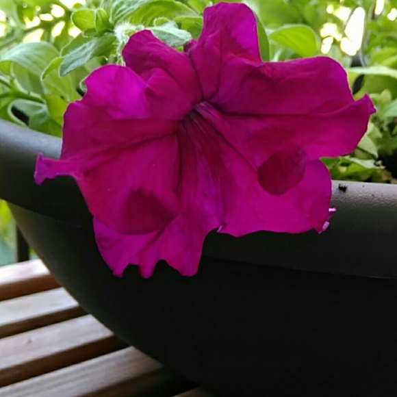 christina5362
