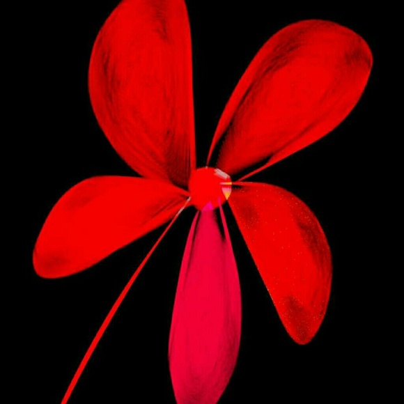 kjoplant1