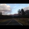 hollybrundage