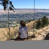 berkeleyrose