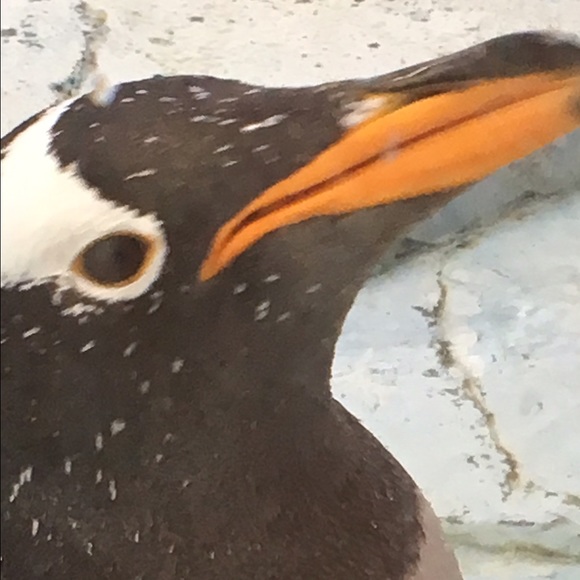 bekaroody76