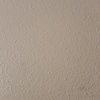 112425_tamlee
