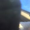 lalbert_8