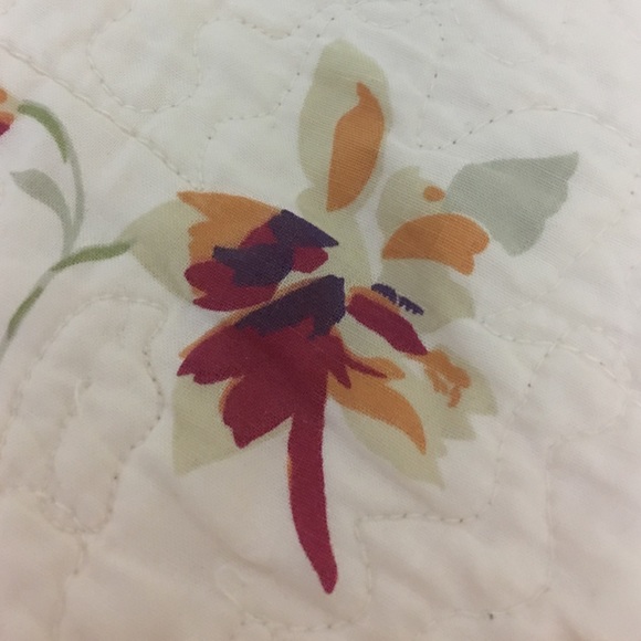 acanetlane78