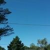 daynasmith1127
