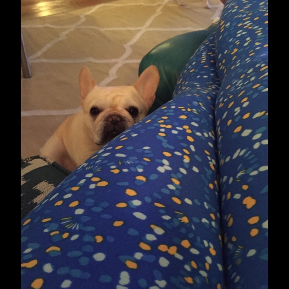 fentastic