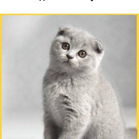 instileg