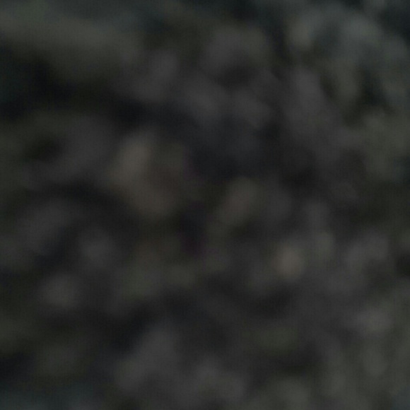 elveeb