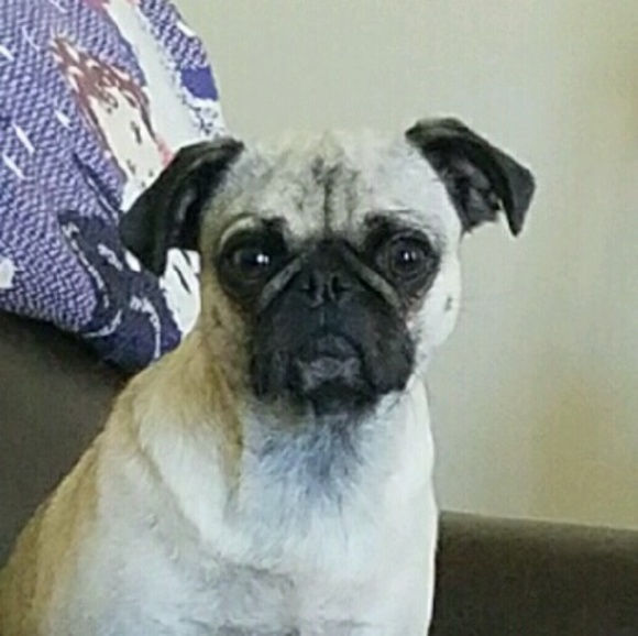 elwood96