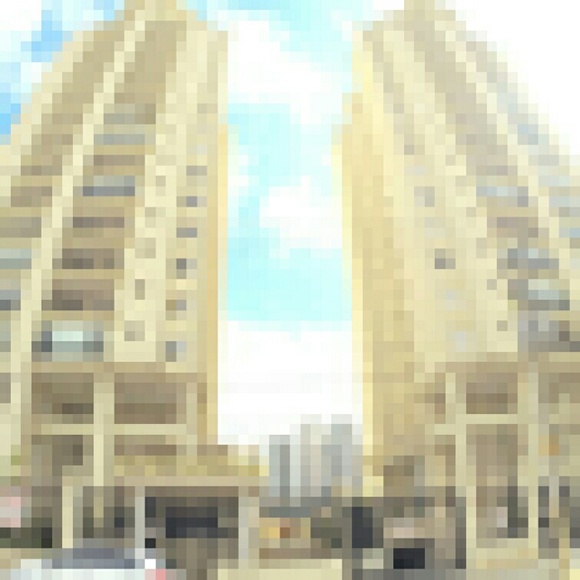 roliveira310