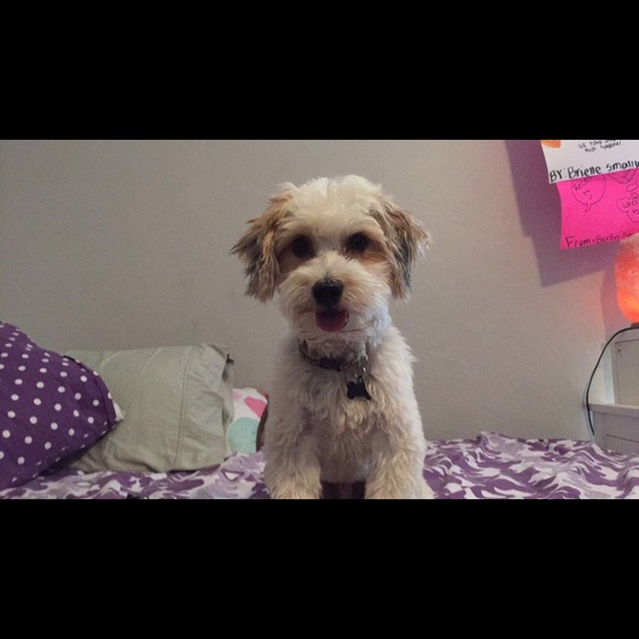 allie4444