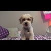 allie4444