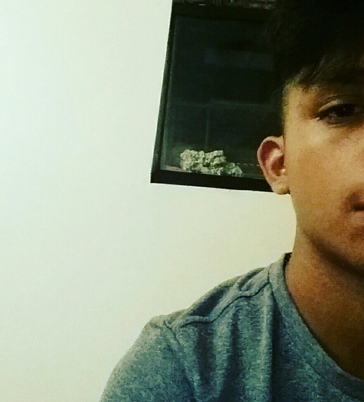 willo_cx